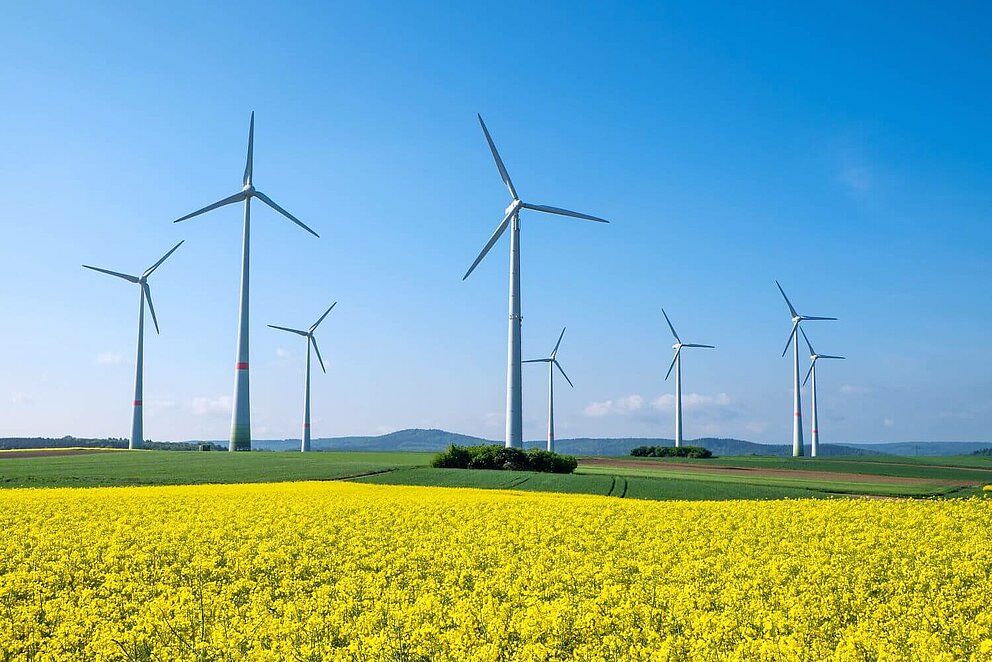 Windräder auf einem sommerlichen Rapsfeld in Baden-Württemberg.