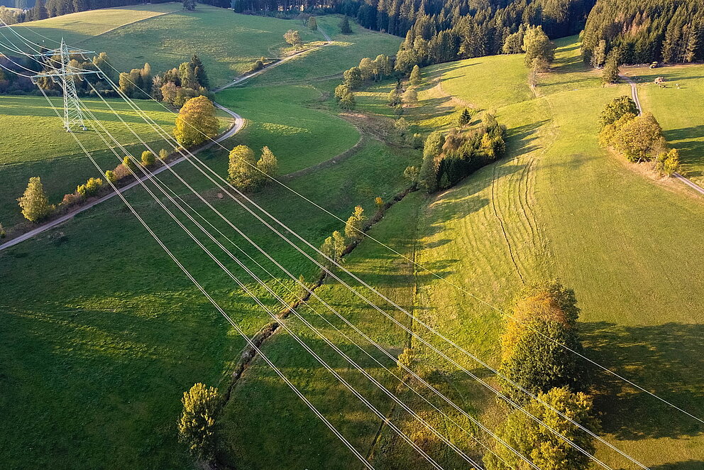Luftaufnahme von Stromleitungen an Masten über grüner Wiese.